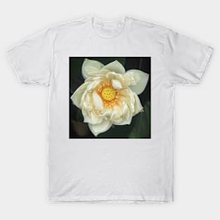 Lotus T-Shirt